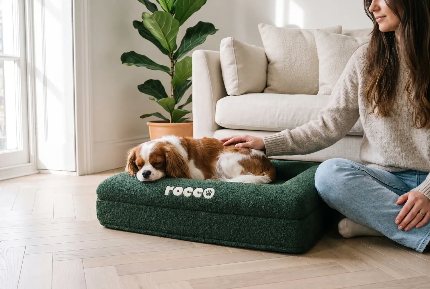 A cavalier spaniel lying on a forest green Bolster Bed in a living room